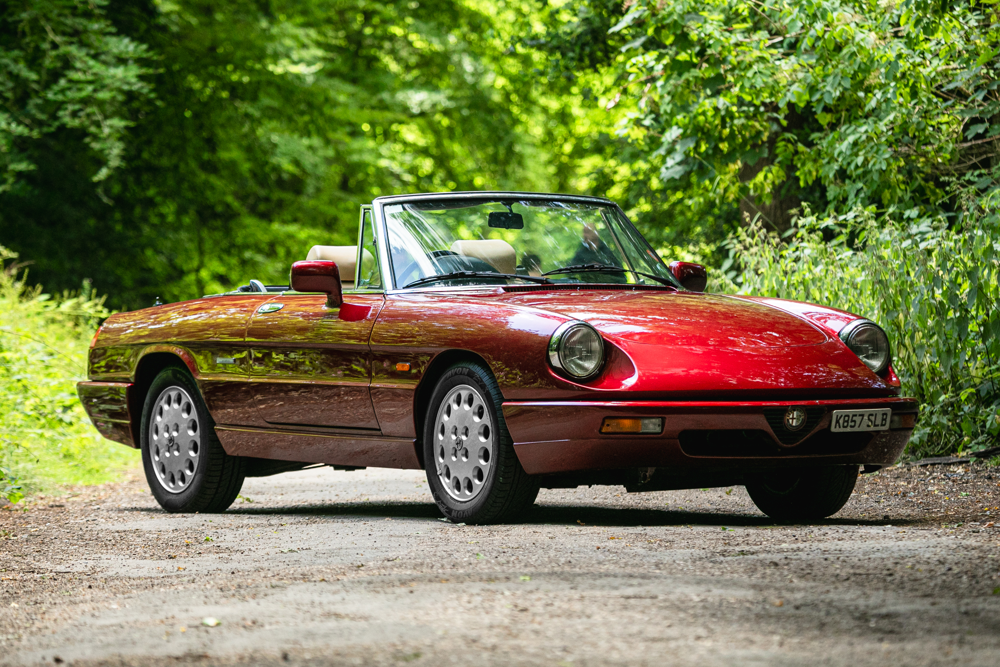 Absolutely Fabulous Alfa Spider for sale